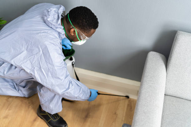 Best Fumigation Services  in Luckey, OH